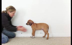 Sophia Grows Dog Time Lapse