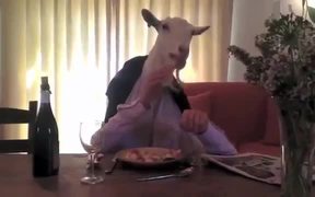 Cute Animals Eating Supercut - Animals - VIDEOTIME.COM