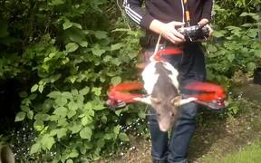 Flying Rat Copter