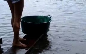 Easily Fish Piranha