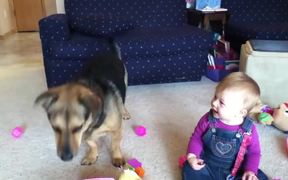 Baby Laughs At Bubble Eating Dog