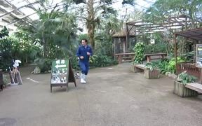 Penguin Chasing Zookeeper - Animals - VIDEOTIME.COM