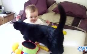 Cats Loving Babies - Animals - VIDEOTIME.COM