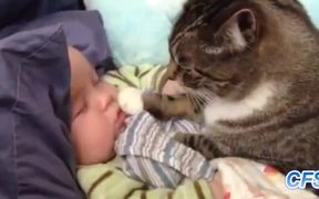 Cats Loving Babies