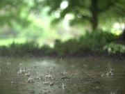 Raindrops in Super Slow Motion - Fun - Y8.COM