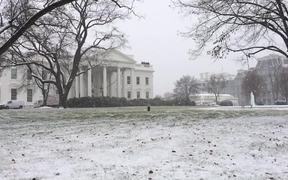 Slow Motion Snow in DC