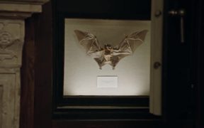 New York Lottery Campaign: Bat Collector