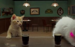 Jake O’Connor’s: A Kitten Walks into a Bar - Yarn