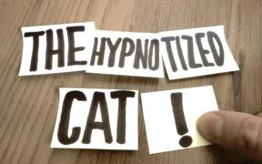 Meow: The Great Hypnosis Show!