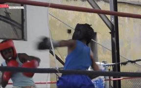 Sport Kids Boxing in Havana - Kids - VIDEOTIME.COM