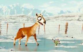 Animated Movie Caminandes Episode 3