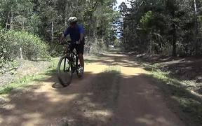 Jimna State Forest - MTB Trail Riding