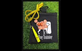 Dog Training’s Three Point Whistle Recall Training