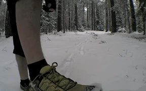 Winter Run Sweden