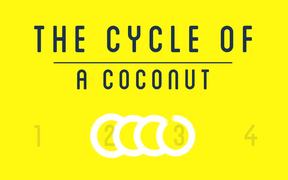 The Cycle of Coconut