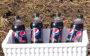 Buffalo Pepsi Max
