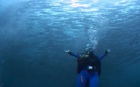 Sipadan Underwater World
