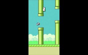 FlappyBird Video Game Online