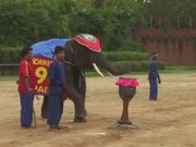 Gentle Giants of Thailand Trailer