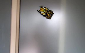Air Hogs Zero Gravity Laser on Wall - Fun - VIDEOTIME.COM