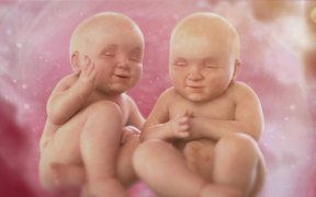 Molto Campaign: Babies