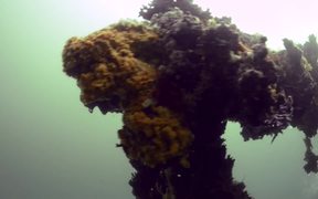 Diving in History: Pearl Harbor Memorials - Tech - VIDEOTIME.COM