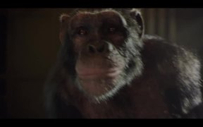 Bingle Commercial: Joni the Sky Diving Chimp