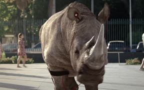 TNT Commercial: Rhino