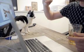 Poopy Cat Video: A Day at Poopy Cat Office