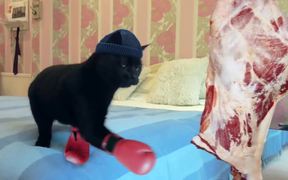Mars Temptations Video: Cat vs. Mouse - Commercials - VIDEOTIME.COM