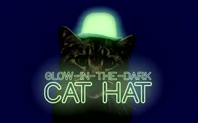 Lowe’s Commercial: Glow-in-the-Dark Cat Hat