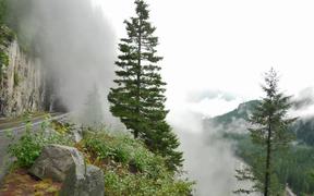 Mt. Rainier National Park in WA, USA