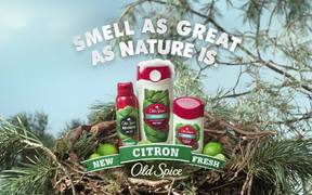 Old Spice Campaign: Nest