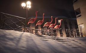 France 3 Video: Flamants - Ski - Commercials - VIDEOTIME.COM