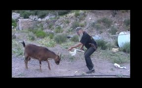 GoatTao: Way of the Goat Training
