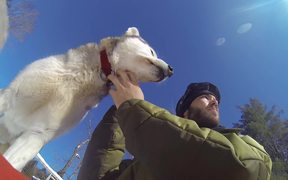 Winter K9 Training for Kids - Animals - VIDEOTIME.COM