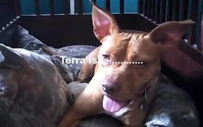 Terra’a Adoption Video