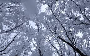 Winter: Promotion Campaign The Republic of Korea - Fun - VIDEOTIME.COM
