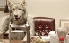 Old Spice - Meet Mr Wolfdog 30 - Commercials - VIDEOTIME.COM