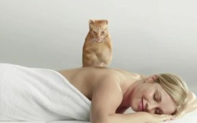 Cats Pride “Massage”