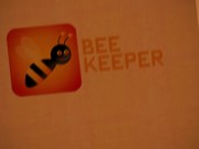 Keeping the Bees
