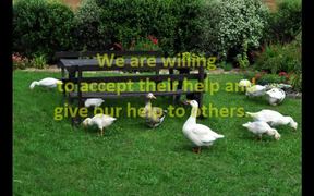 Lesson from Geese