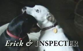Inspecter and Erick - Animals - VIDEOTIME.COM