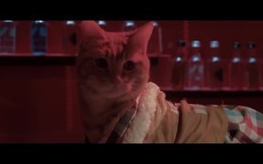 Keanu Official 'Kitten, Please' Spoof Trailer