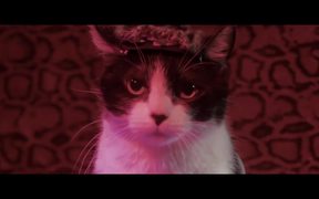 Keanu Official 'Kitten, Please' Spoof Trailer - Movie trailer - VIDEOTIME.COM
