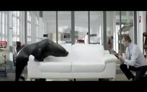 Seal by Cuir Center - Commercials - VIDEOTIME.COM