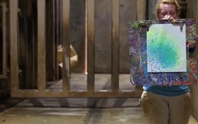 Animals Show Their Artistic Side at Zoo Knoxville