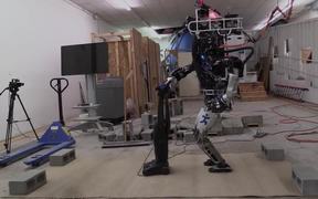 Google Atlas Robots