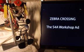 Zebra Crossing - Tech - VIDEOTIME.COM
