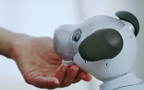Sony Revives Aaibo the Robot Dog